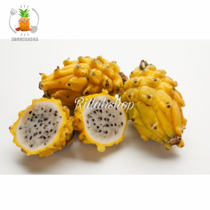 

Buah Naga Kuning Fresh