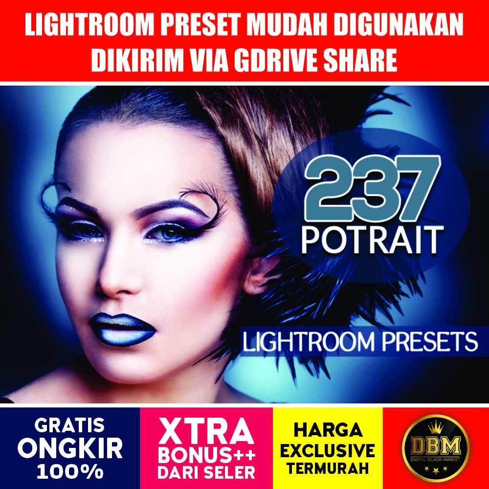 237 Premium Potrait - Lightroom Presets