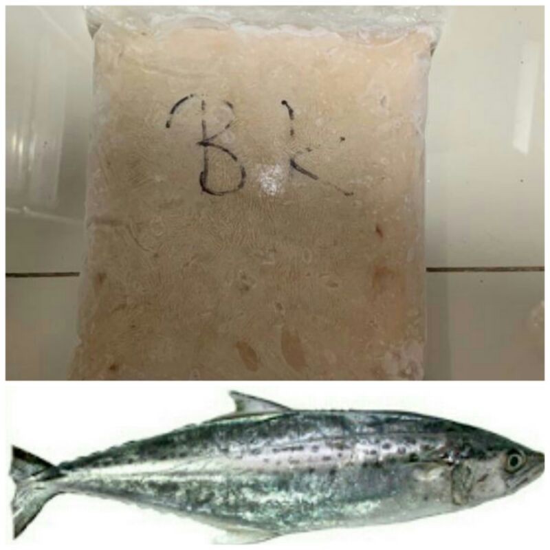 

Daging Ikan Tenggiri Gepeng 1KG