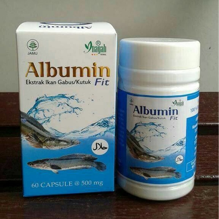 ALBUMIN FIT 60 Kapsul Ekstrak Ikan Gabus Cepat Sembuh PASCA OPERASI / Ekstrak Ikan Kutuk