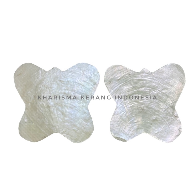 CAPIZ SHELL BUTTERFLY SHAPE KERANG SIMPING KULIT KERANG CAPIZ CAPIZ SHELLS KULIT KERANG CAPIZ
