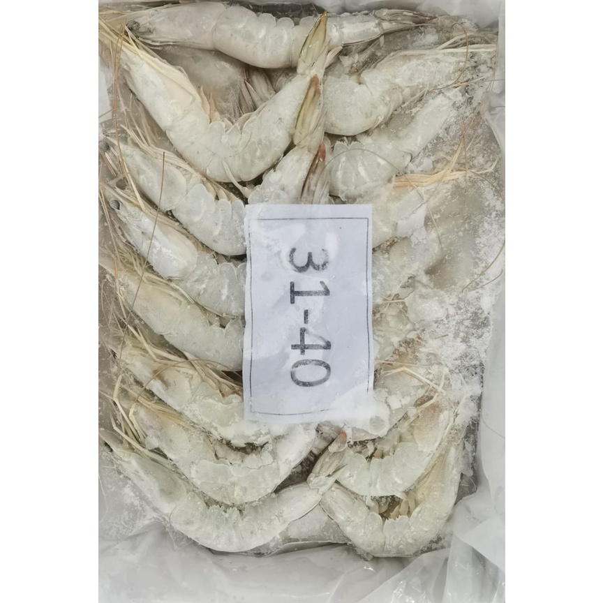 

UDANG JERBUNG/ UDANG JERBUNG BEKU/ SIZE 31-40/ 1KG