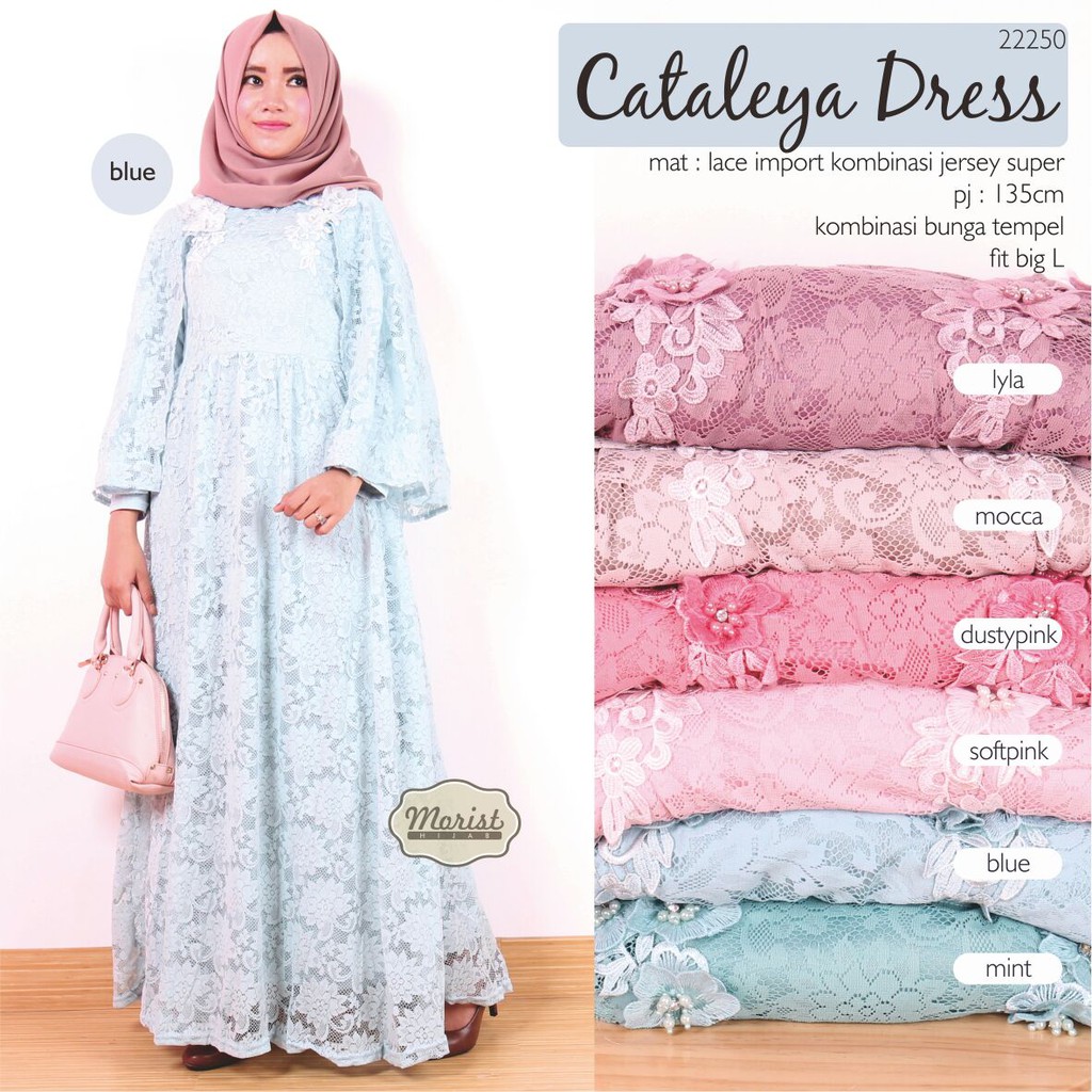 

cateleya
