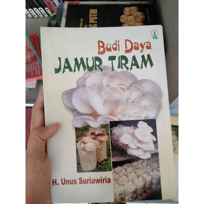 Budidaya Jamur Tiram