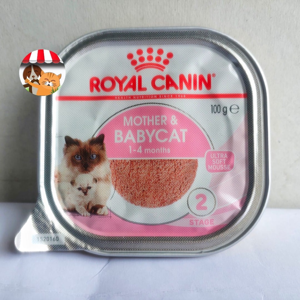 Royal Canin Mother And Baby Cat Wet Food 100gr