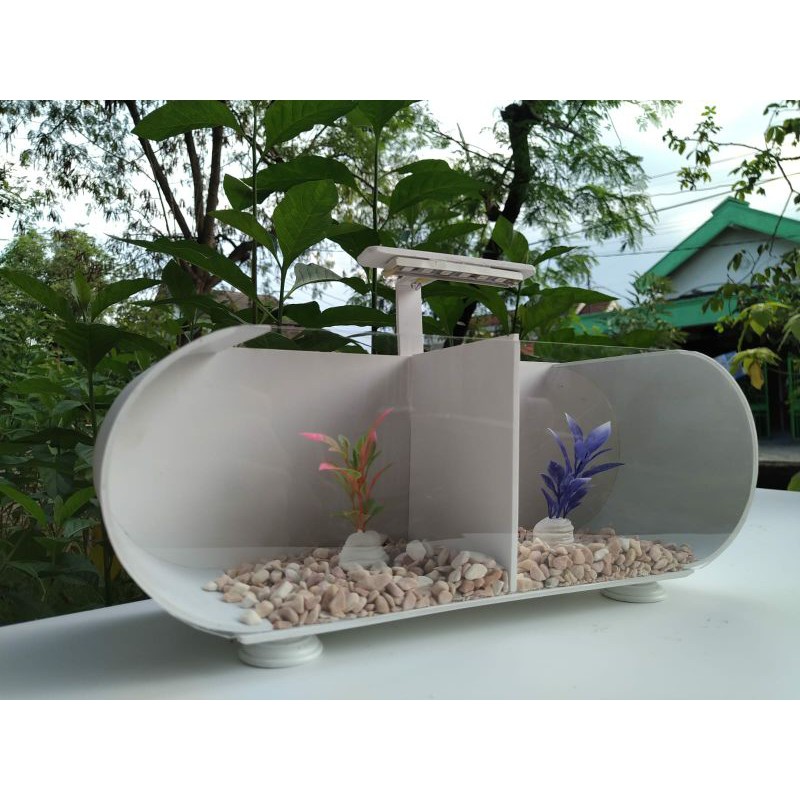 Aquarium Akrilik Minimalis ( 30 cm x 10 cm x 11 cm )