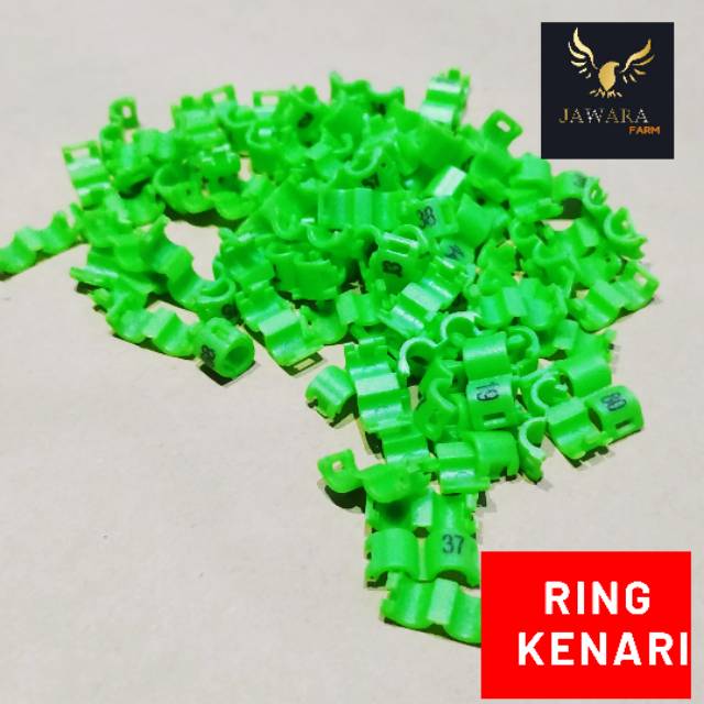 Ring Jepit Kenari Canary Klip Clip 4 mm