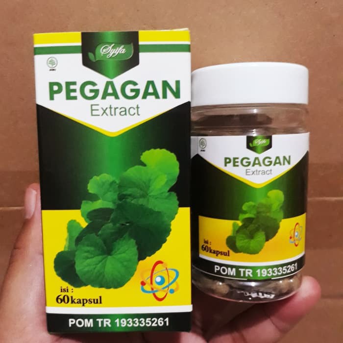 Ekstrak PEGAGAN Kecerdasan Menguatkan Syaraf Lemah I 60 Kpsl I Syifa Herbal Alami