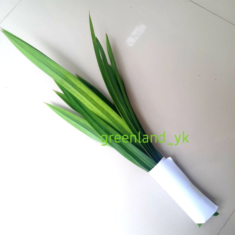 

Daun pandan 250 gr