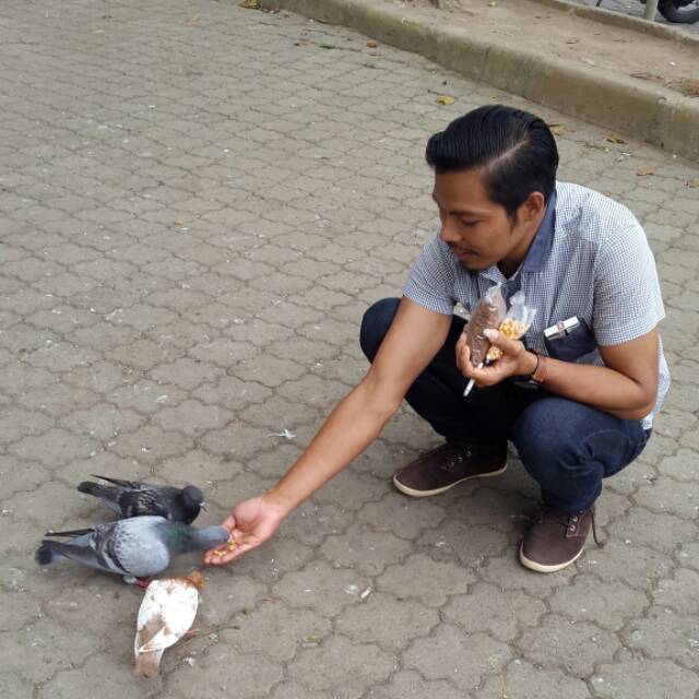 yudikambing1