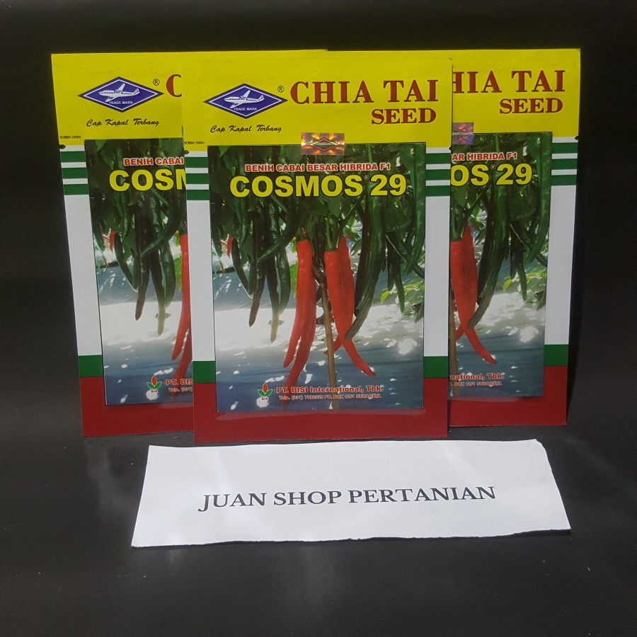 Benih Cabai Besar Hibrida F1 Cosmos-29 | Benih Unggul Cabe Besar Cosmos-29 10gr