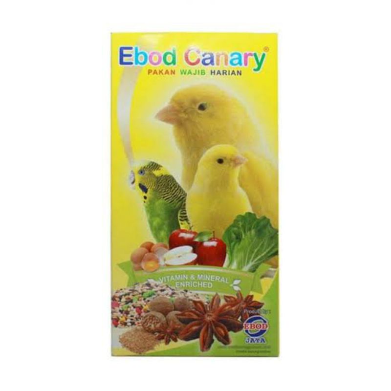 Ebod Canary / Pakan Ebod Kenari