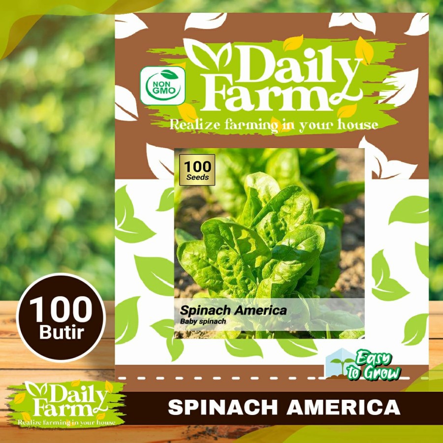 Daily Farm - Benih Sayur Bayam - Baby Spinach - Spinach Amerika