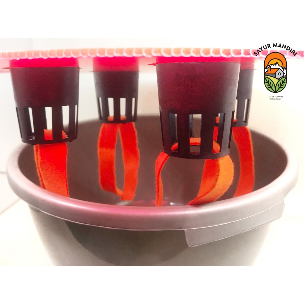 Baskom Hidroponik 4 Lubang Murah