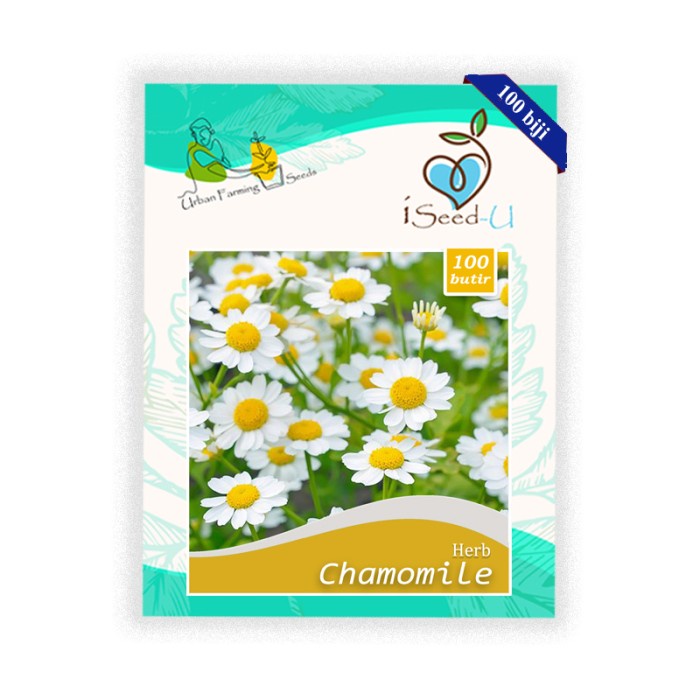 Benih-Bibit Chamomile (iSeed-U)