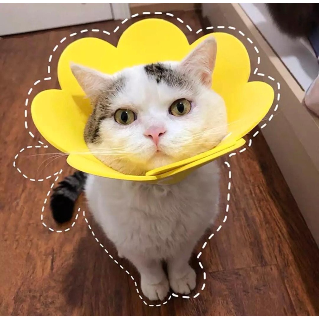 Collar Bunga Corong Pelindung Luka Leher Kucing Anjing Protection Cone