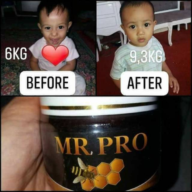 

MR. Pro Penambah Berat Badan