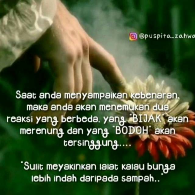 tehwahyunimamahnaintan