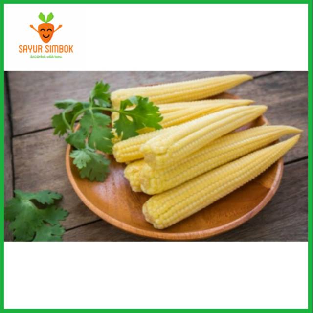 

Baby Corn 500 Gram / Bayi Jagung / Jagung kecil