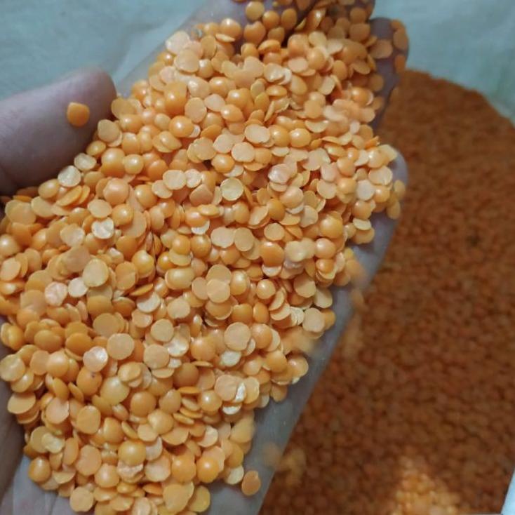 

Best - RED LENTILS/ MASOOR DALL/ SPLIT LENTILS 1 KG !