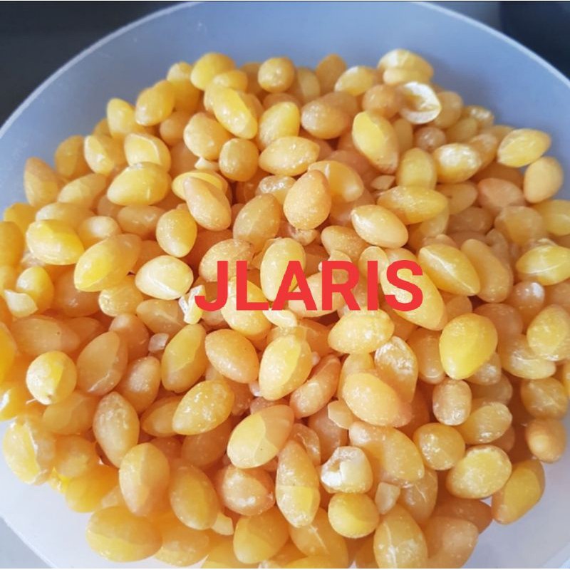 

ginko seed / ginko giloba 1 kg