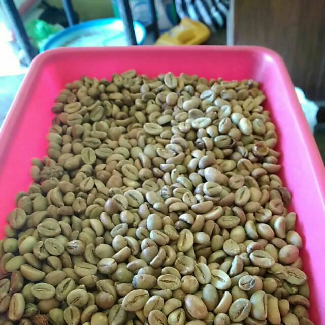 

Kopi robusta candiroto thn 2017