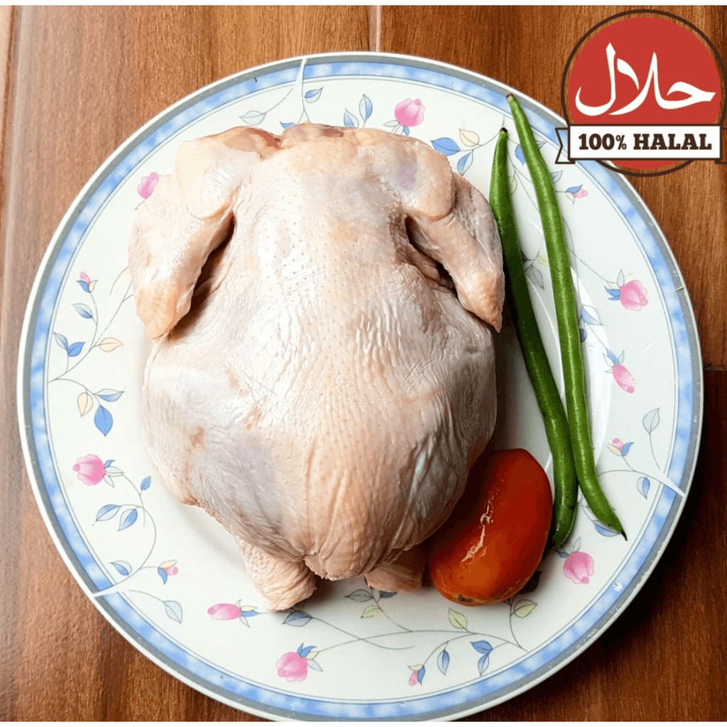 

Ayam Karkas Utuh Beku