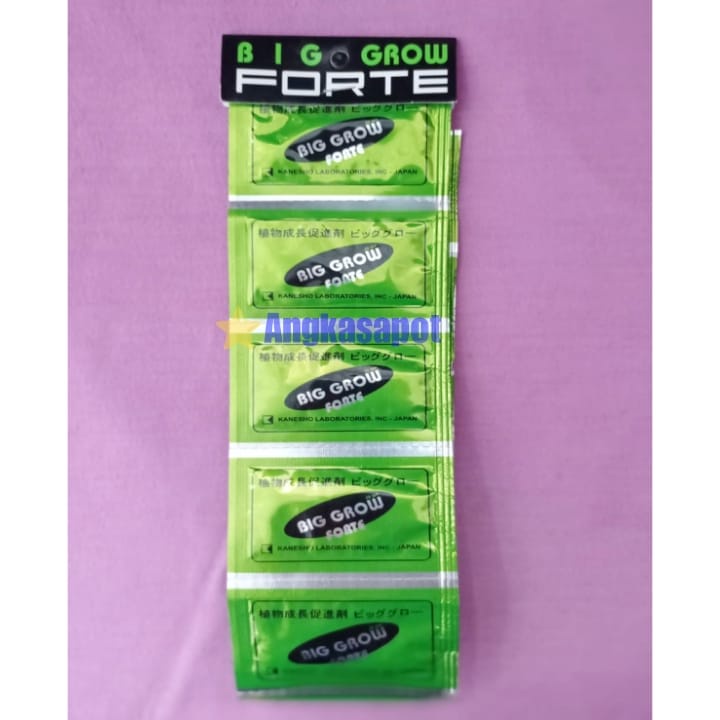 Pupuk ZPT BIG GROW FORTE Sachet Untuk Tanaman