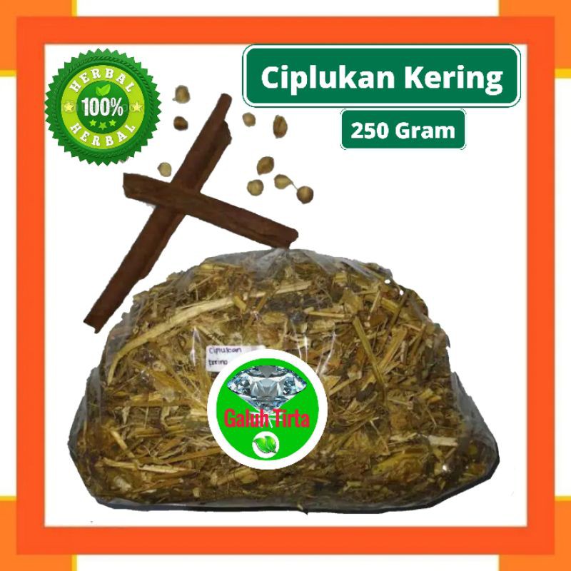 

CIPLUKAN CEPLUKAN KERING 250 GRAM - Physalis Angulata - MURNI