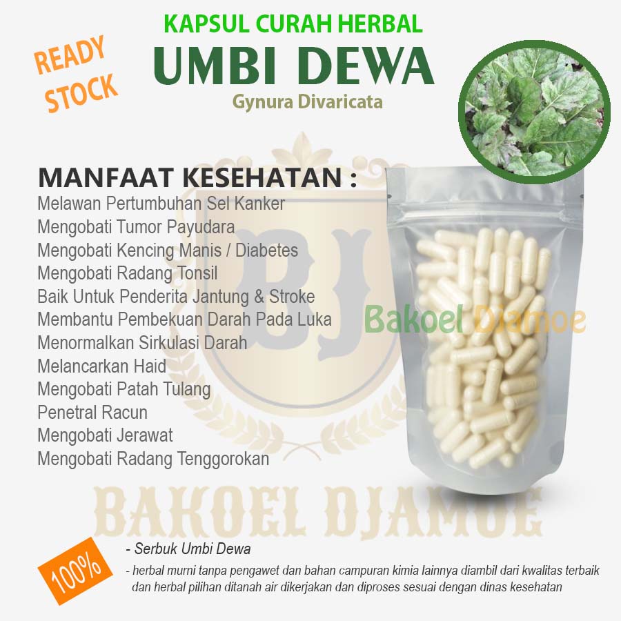 

Kapsul curah herbal umbi dewa kapsul herbal tumor diabetes