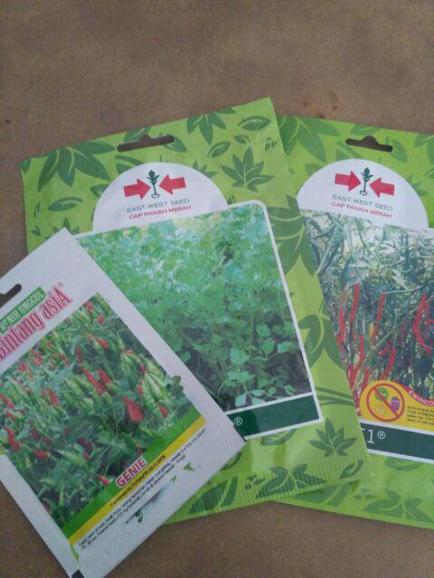 Benih Cabe Keriting Lado F1 150 Butir