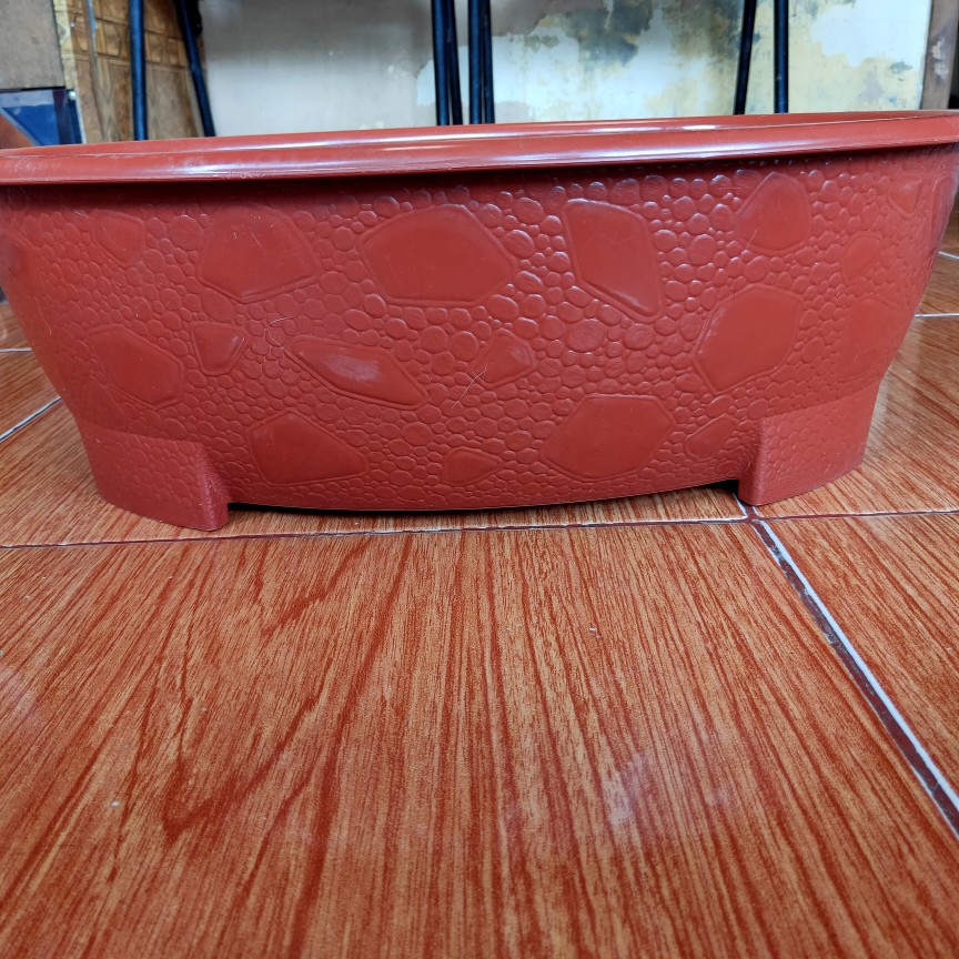 Pot Bunga Bonsai Ov10