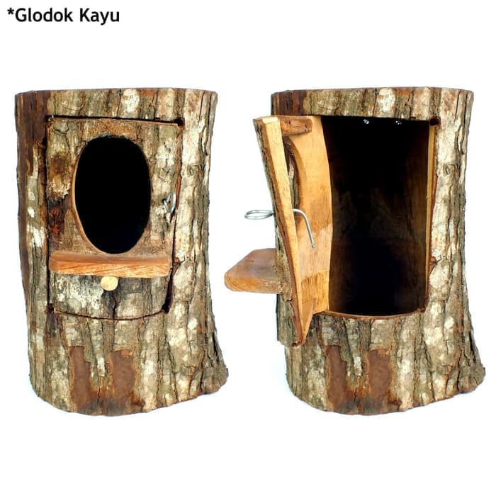 Glodok Kayu Pohon Rumah Burung Sarang Burung
