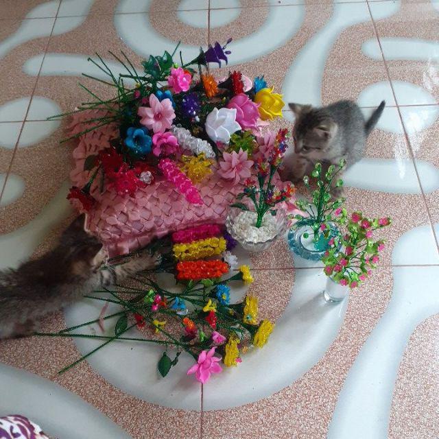 Bunga Mawar Mini Per Tangkai