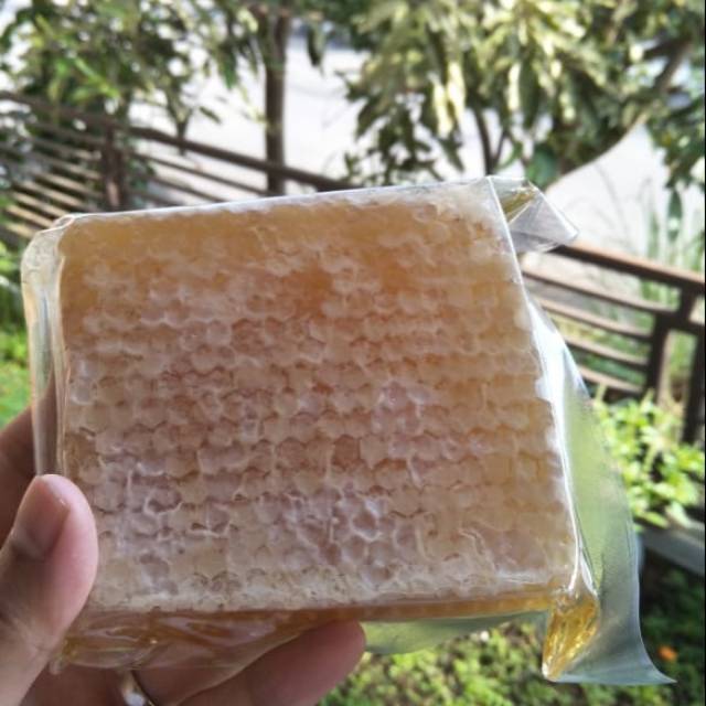 

Madu asli plus Sarang / Madu Malifera