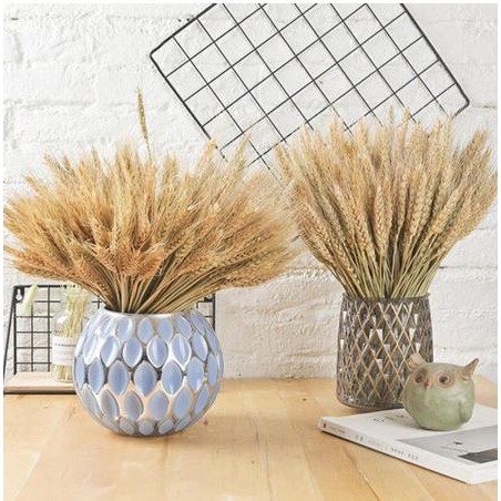 (READY) 10 Tangkai Bunga Hias Gandum Kering