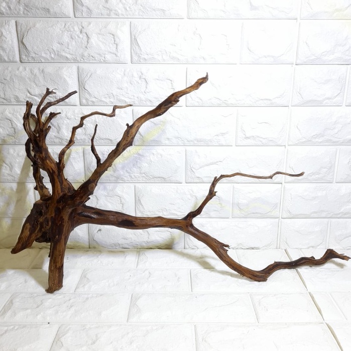 AKAR RASAMALA KAYU RASAMALA AQUASCAPE SIZE XL 50CM KAYU AKAR RASAMALA DEKORASI AQUASCAPE