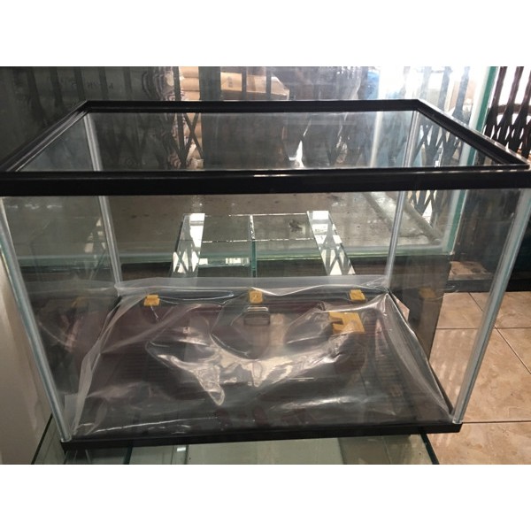 Aquarium Reptile Gex