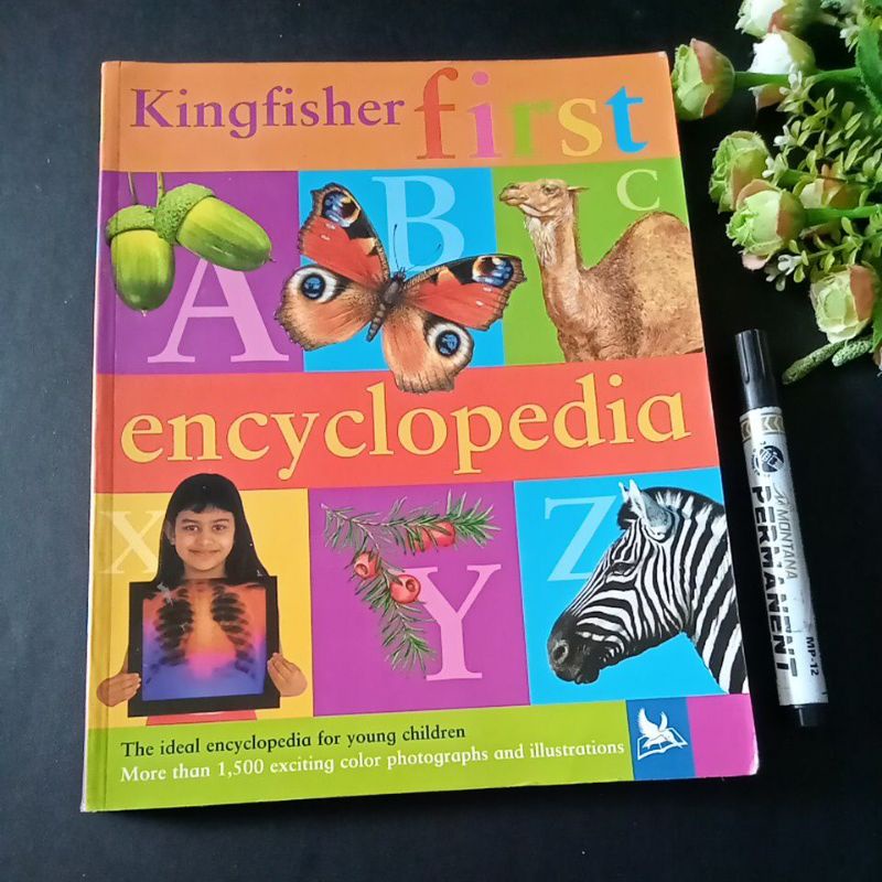 Kingfisher first encyclopedia prelove