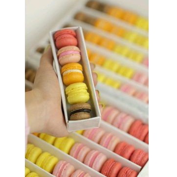 MACARON MINI 1 BOX ISI 5 (Sangat Kecil 2cm)