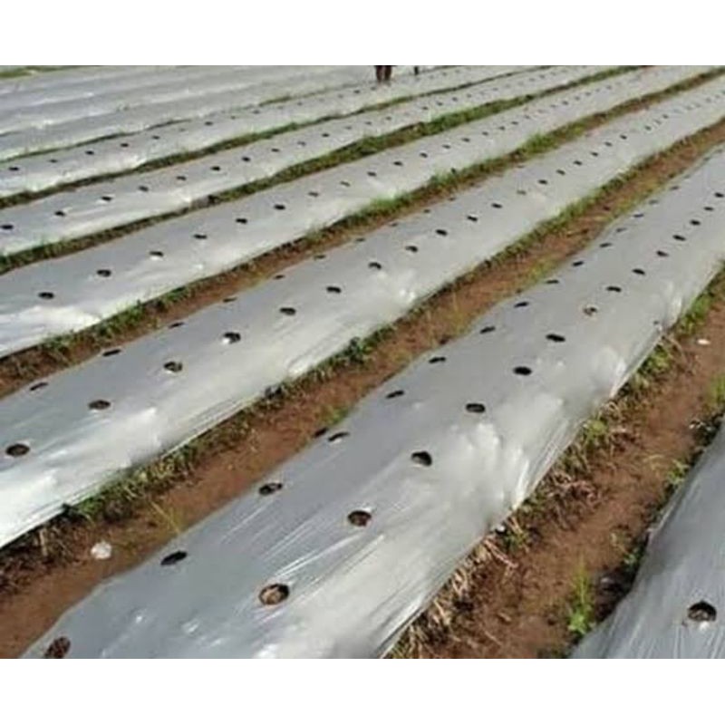 Plastik Mulsa Pertanian 1 roll, lebar 120 cm, panjang 400 mtr