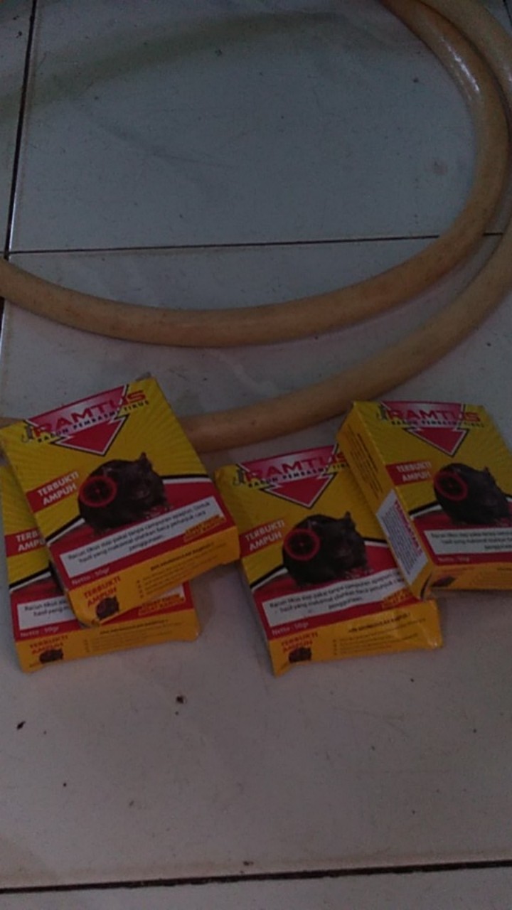 Ramtus Obat Racun Tikus Langsung Mati Kering Tidak Bau Sangat Ampuh Racun Pembasmi Tikus 6 Pack