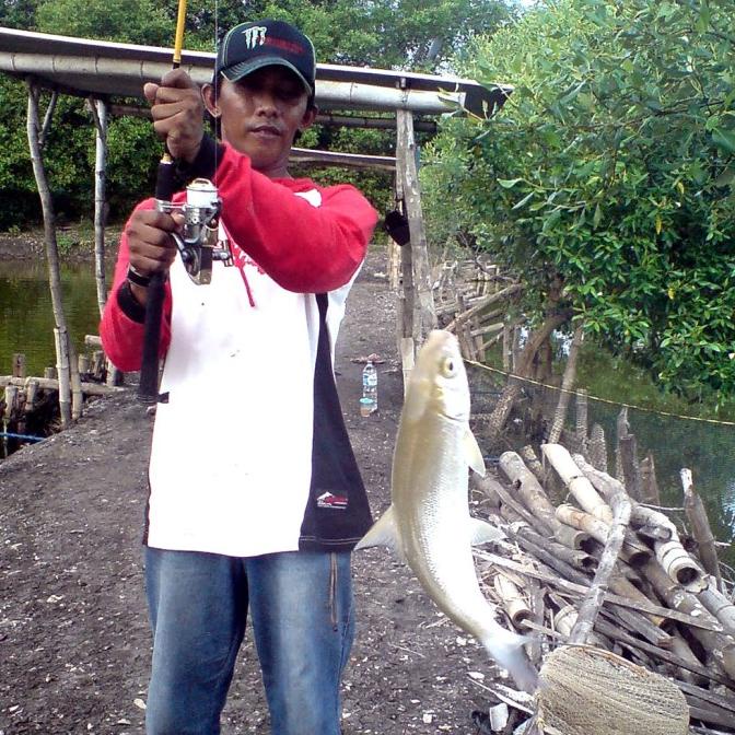 Essen Ikan King Size | Esen Ikan Bandeng Lomba Galatama Bombastis