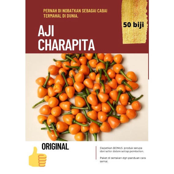 Bibit benih biji cabai aji charapita-cabe impor super pedas dan hias-bisa di konsumsi