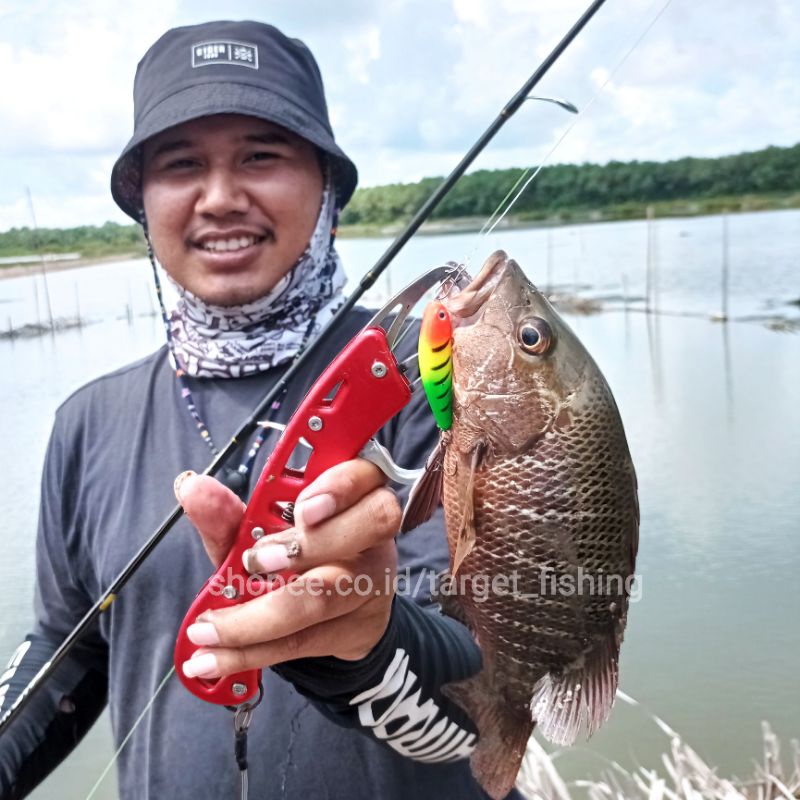 Minnow UL Sinking 50S 6.5gram (Special Color) Umpan Casting Ultralight