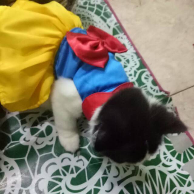 Baju kucing Snow White untuk kucing &amp; anjing /Jual Baju Kucing Terlengkap &amp; Berkualitas size S-XL