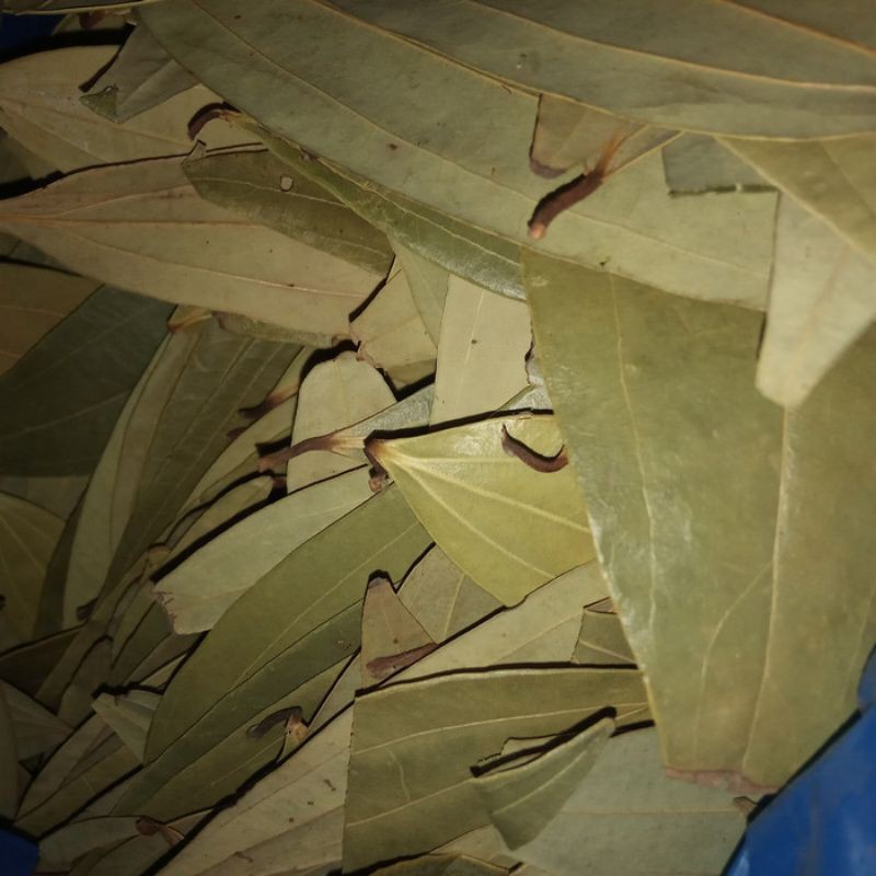 

Bay Leaf - Daun Kari - Tez Patha - Salam Koja 50 gr