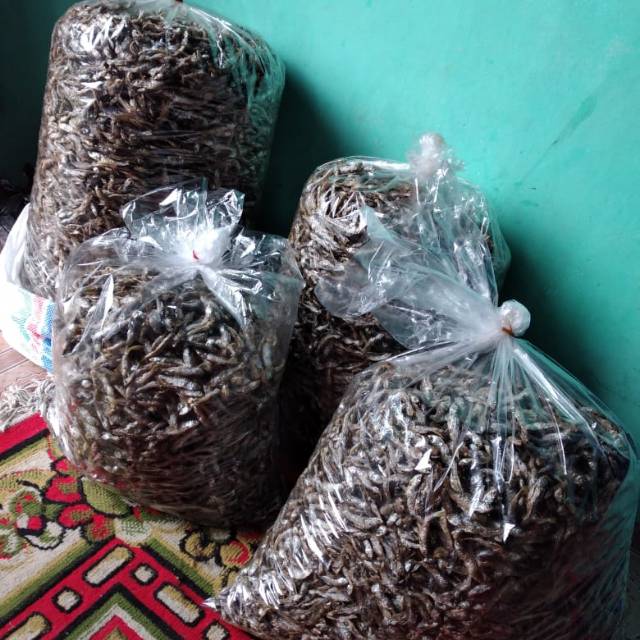 

IKAN BILIH DANAU SINGKARAK IKAN BILIS PADANG SUMBAR DANAU SINGKARAK NETTO 500 GRAM