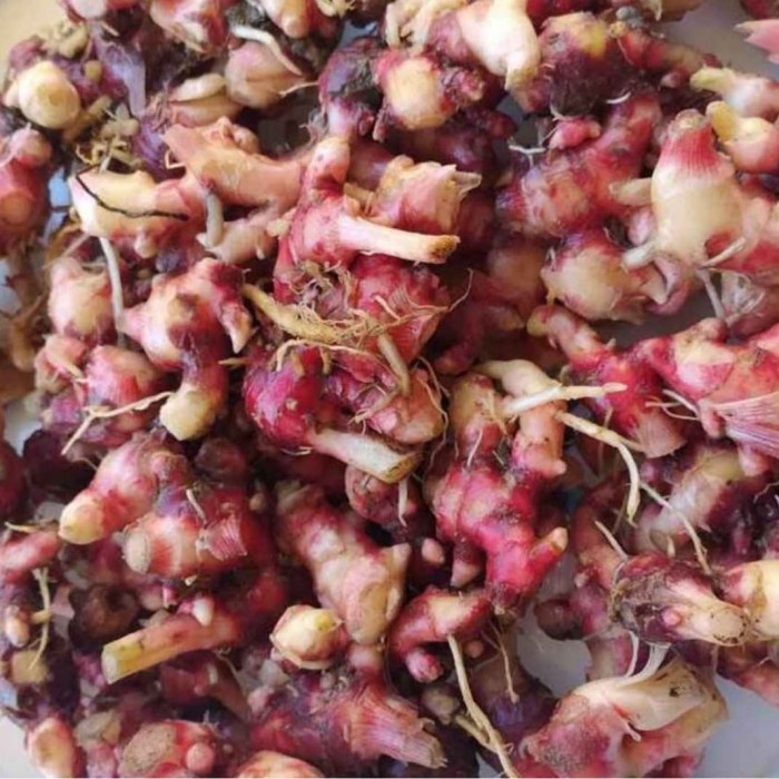 

d201nhd Jahe Merah Fresh 500 Gr Ds201Fs