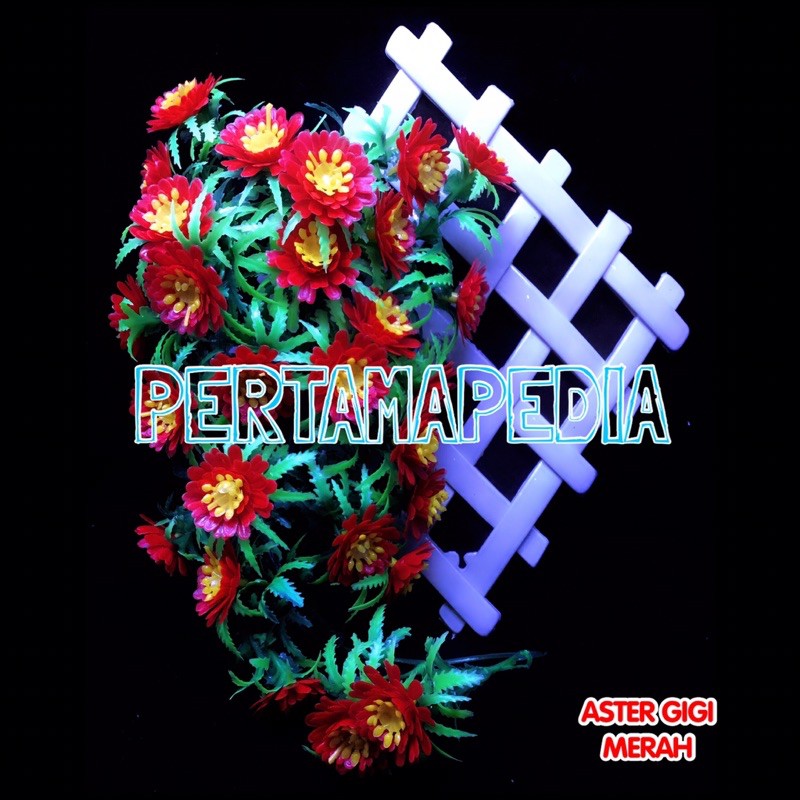 C5 Bunga Aster Gigi/Bunga Plastik/Daun Plastik/Rumput Plastik/Daun Rambat Plastik/Bunga Dekorasi-7